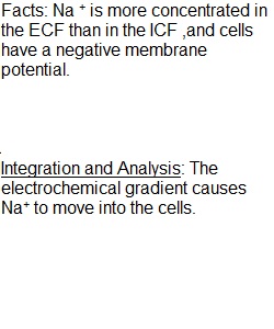 Module 3 Ch 12 Case study